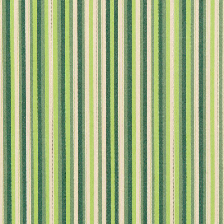 30040-01 by Charlotte Designer Fabric Woven Acrylics 100% Solution Dyed Acrylic Spain Exceeds 60,000 Wyzenbeek Rubs (Heavy Duty) </p><p>Repeat: Horizontal: 8" 54 Inches - Swanky Fabrics -