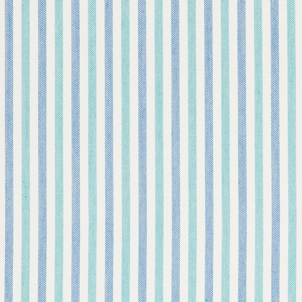 30070-02 by Charlotte Designer Fabric Woven Acrylics 100% Solution Dyed Acrylic Spain Exceeds 60,000 Wyzenbeek Rubs (Heavy Duty) Horizontal: 1" 54 Inches - Swanky Fabrics -