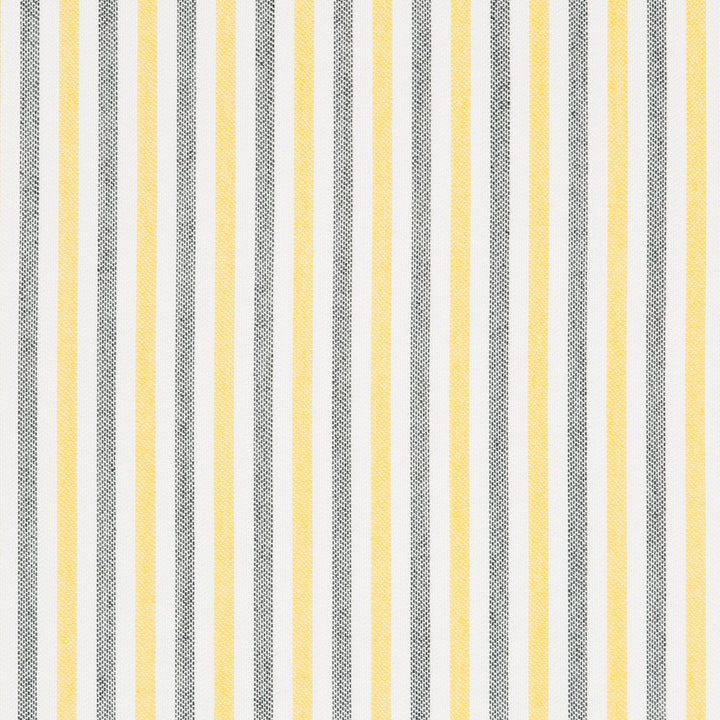 30070-03 by Charlotte Designer Fabric Woven Acrylics 100% Solution Dyed Acrylic Spain Exceeds 60,000 Wyzenbeek Rubs (Heavy Duty) Horizontal: 1" 54 Inches - Swanky Fabrics -