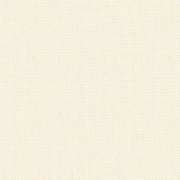 30299.1 by Kravet Basics Designer Fabric Perfect Plains Polyester 63%, Viscose 35%, Polyamide 2% China Heavy Horizontal: see sample and Vertical: see sample 55 inches - Swanky Fabrics -