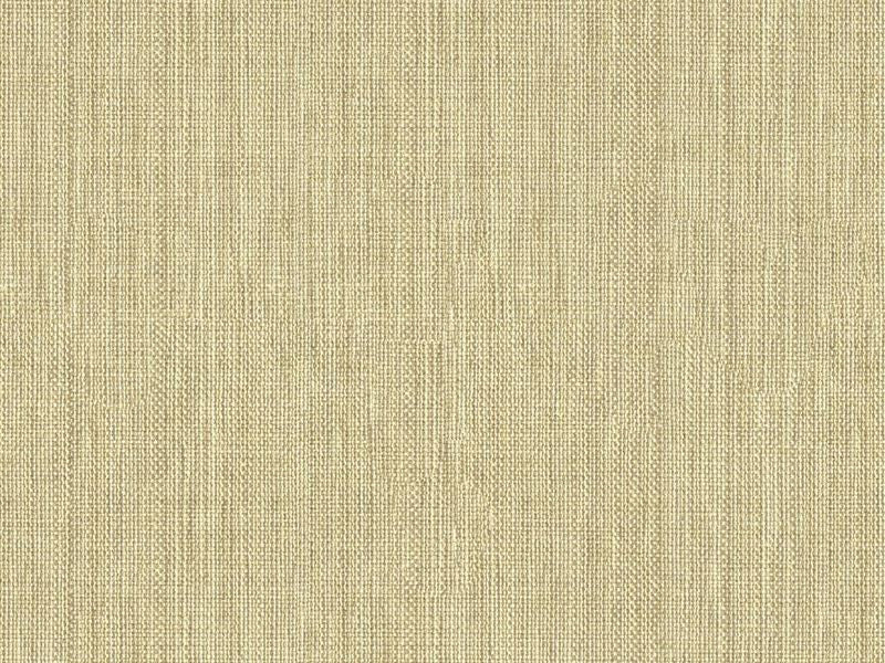 30299.1006 by Kravet Basics Designer Fabric in our sample Polyester 63%, Viscose 35%, Polyamide 2% China Heavy Horizontal: See Sample and Vertical: See Sample 55 inches - Swanky Fabrics -