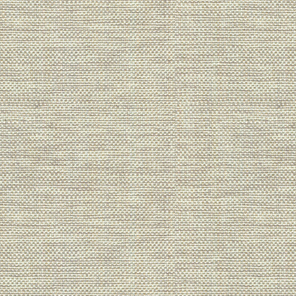 30299.106 by Kravet Basics Designer Fabric Perfect Plains Polyester 63%, Viscose 35%, Polyamide 2% China Heavy Horizontal: see sample and Vertical: see sample 55 inches - Swanky Fabrics -