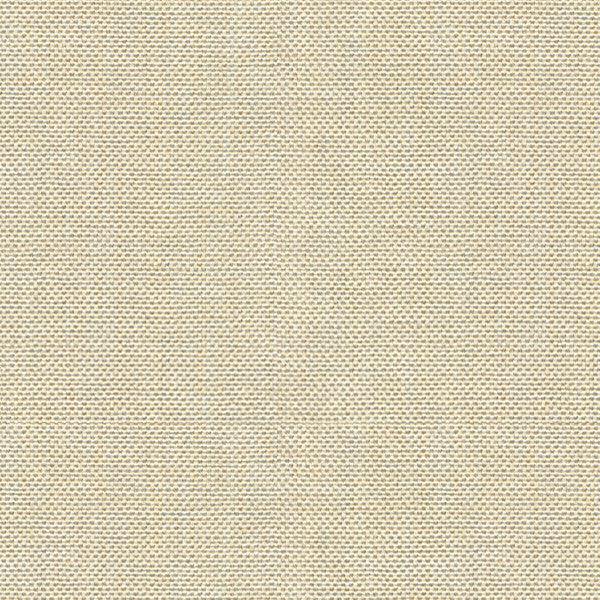 30299.1116 by Kravet Basics Designer Fabric Perfect Plains Polyester 63%, Viscose 35%, Polyamide 2% China Heavy Horizontal: see sample and Vertical: see sample 55 inches - Swanky Fabrics -