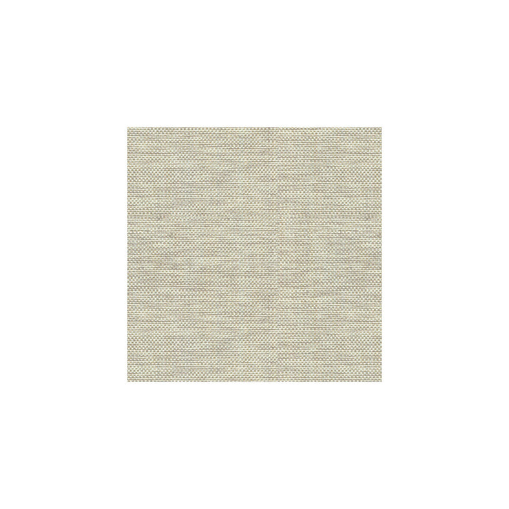 Kravet Basics 30299-106 by Kravet Basics Fabric Kravet Basics Fabric Kravet Basics 30299-106Fabric PERFECT PLAINS POLYESTER - 63%;VISCOSE - 35%;POLYAMIDE - 2% China </p><p>Repeat: H: 0, V: 0 55 - Fabric Carolina -