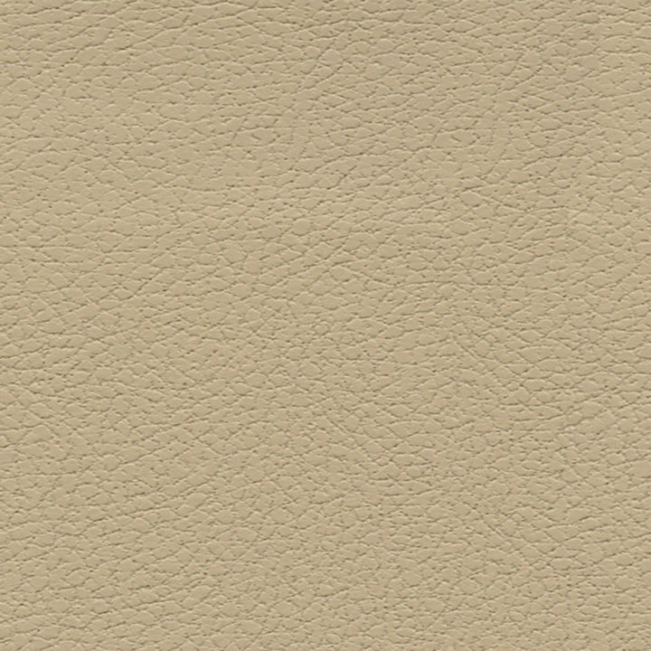 Brisa Desert Clay 303-3864 by Schumacher Designer Fabric ULTRALEATHER POLYURETHANE 100% JAPAN WYZENBEEK 200,000 </p><p>Repeat: Horizontal: and Vertical: 54 - Swanky Fabrics -