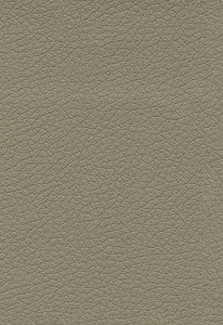 Brisa Fedora 303-3915 by Schumacher Designer Fabric