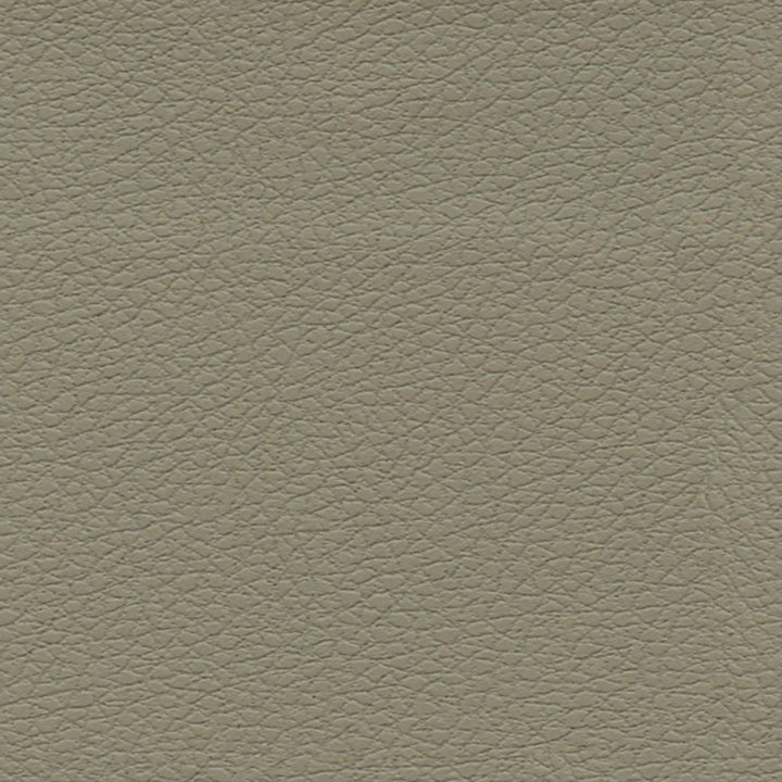 Brisa Fedora 303-3915 by Schumacher Designer Fabric ULTRALEATHER See Sample JAPAN HEAVY DUTY </p><p>Repeat: Horizontal: - and Vertical: - 54" WIDE (137CM) - Swanky Fabrics -