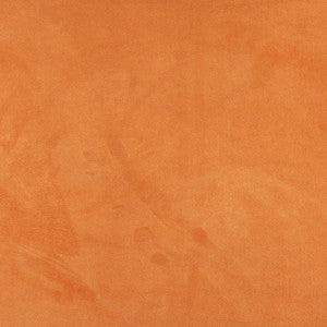 3056 Apricot by Charlotte Designer Fabric