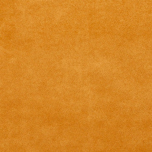 3060 Cashew by Charlotte Designer Fabric
