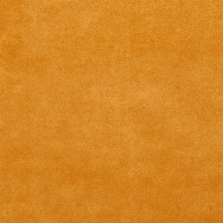 3060 Cashew by Charlotte Designer Fabric Microsuede, Ultimate Suede V 100% Woven Polyester Asia Exceeds 200,000 Wyzenbeek Rubs (Heavy Duty) No Repeat 54 Inches - Swanky Fabrics -