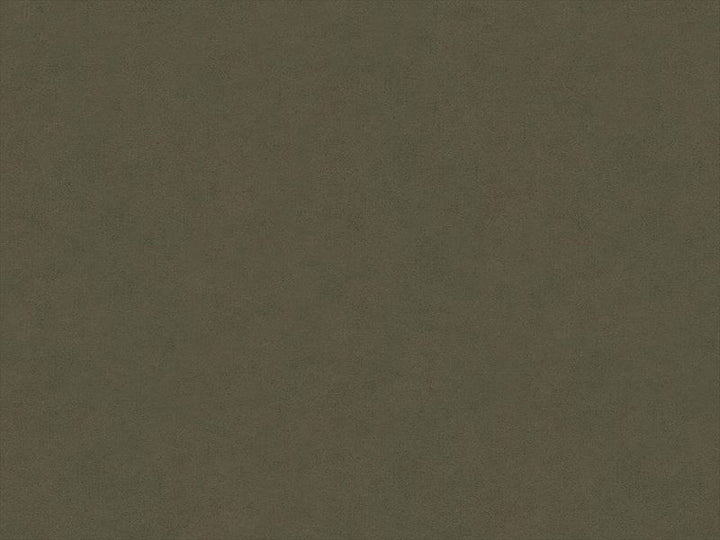 30787.6606 by Kravet Design Designer Fabric in our sample Recycled Polyester 80%, Polyurethane 20% Japan Heavy Horizontal: See Sample and Vertical: See Sample 55 inches - Swanky Fabrics -