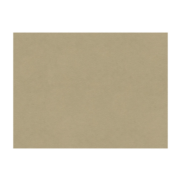 Ultrasuede Green Oatmeal by Kravet Design Designer Fabric PERFORMANCE RECYCLED POLYESTER - 80%;POLYURETHANE - 20% Japan HEAVY Horizontal: and Vertical: 55 - Swanky Fabrics -