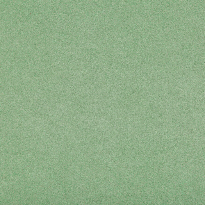 Ultrasuede Green Sprig by Kravet Design Fabric Kravet Design Fabric Ultrasuede Green SprigFabric PERFORMANCE RECYCLED POLYESTER - 80%;POLYURETHANE - 20% Japan </p><p>Repeat: H: , V: 55 - Fabric Carolina -