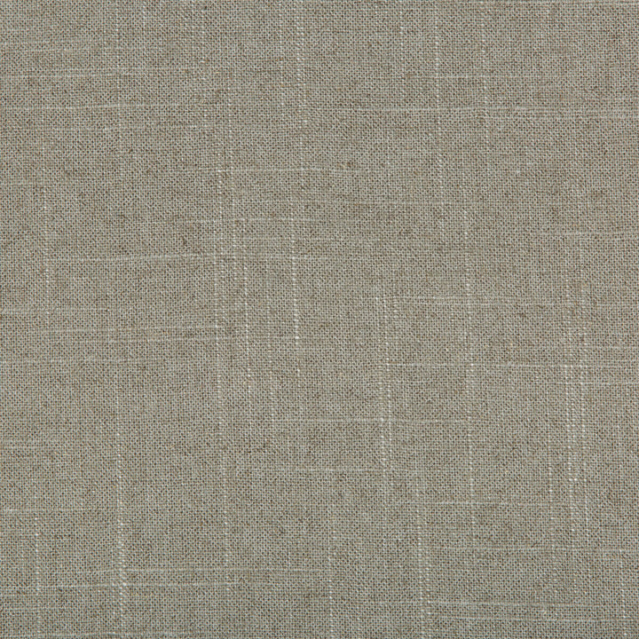 30808-1121 by Kravet Basics Designer Fabric LINEN - 55%;RAYON - 45% Switzerland HEAVY Horizontal: 0 and Vertical: 0 54 - Swanky Fabrics -