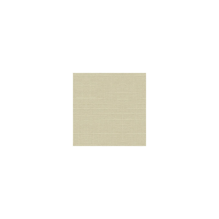 30808-1 by Kravet Basics Designer Fabric LINEN - 55%;RAYON - 45% Switzerland HEAVY Horizontal: 0 and Vertical: 0 54 - Swanky Fabrics -