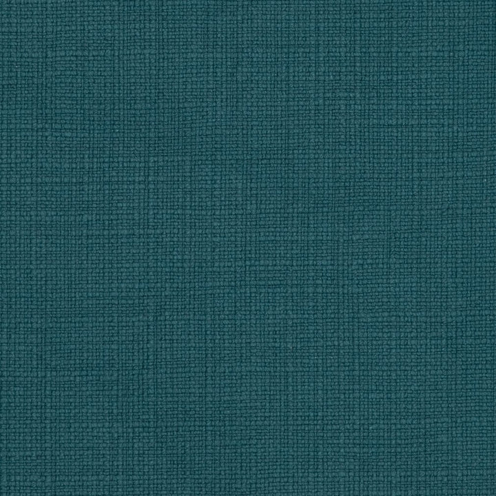 31000-01 by Charlotte Designer Fabric Natural Textures 55% Linen, 45% Cotton Asia Exceeds 60,000 Wyzenbeek Rubs (Heavy Duty) No Repeat 54 Inches - Swanky Fabrics -