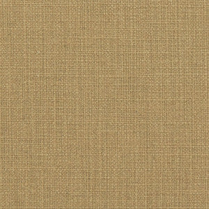 31000-05 by Charlotte Designer Fabric