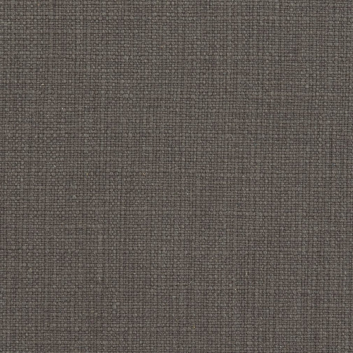 31000-06 by Charlotte Designer Fabric Natural Textures 55% Linen, 45% Cotton Asia Exceeds 60,000 Wyzenbeek Rubs (Heavy Duty) No Repeat 54 Inches - Swanky Fabrics -
