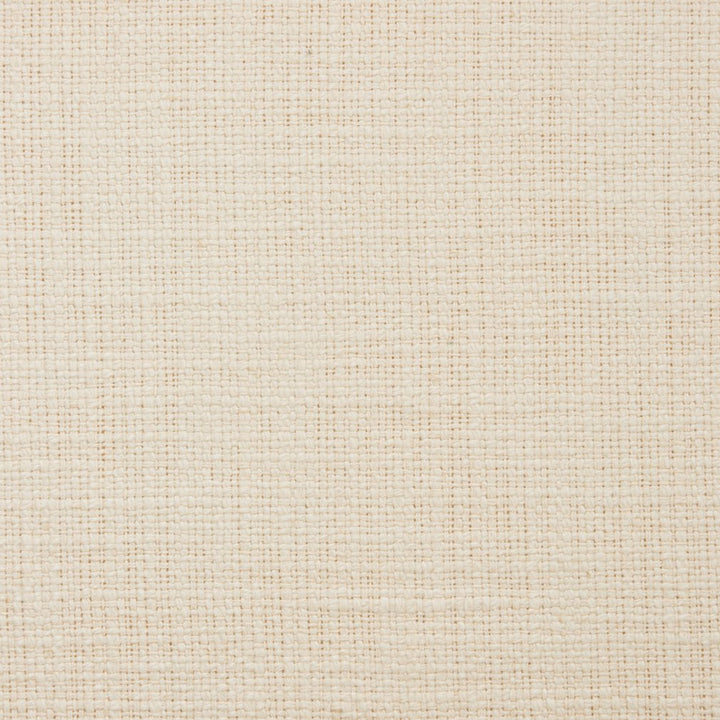 31000-11 by Charlotte Designer Fabric Natural Textures 55% Linen, 45% Cotton Asia Exceeds 60,000 Wyzenbeek Rubs (Heavy Duty) No Repeat 54 Inches - Swanky Fabrics -