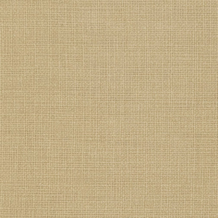 31000-20 by Charlotte Designer Fabric Natural Textures 55% Linen, 45% Cotton Asia Exceeds 60,000 Wyzenbeek Rubs (Heavy Duty) No Repeat 54 Inches - Swanky Fabrics -