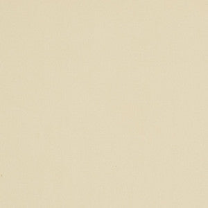 3100 Oyster by Charlotte Designer Fabric