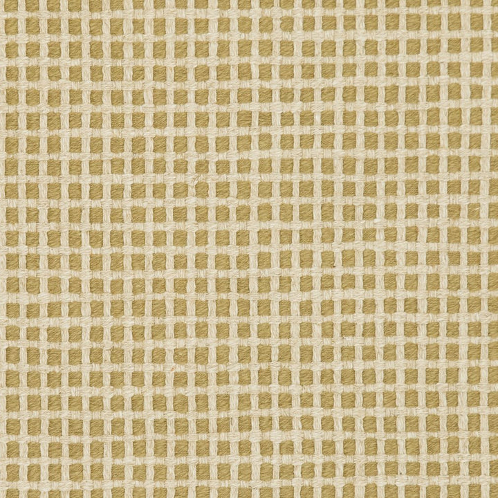 31020-05 by Charlotte Designer Fabric Natural Textures 55% Linen, 45% Cotton Asia Exceeds 60,000 Wyzenbeek Rubs (Heavy Duty) </p><p>Repeat: Horizontal: .5" x Vertical: .5" 54 Inches - Swanky Fabrics -