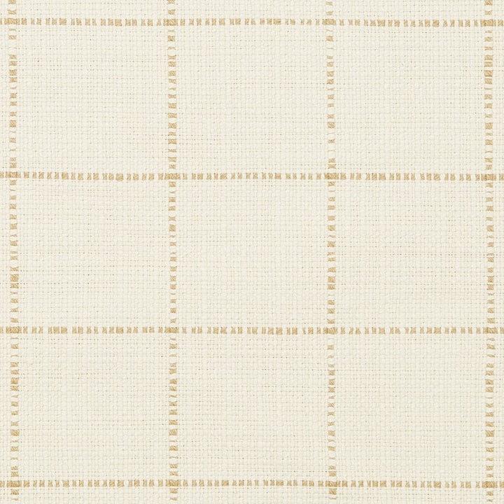 31030-01 by Charlotte Designer Fabric Natural Textures 55% Linen, 45% Cotton Asia Exceeds 60,000 Wyzenbeek Rubs (Heavy Duty) Horizontal: 3" x Vertical: 3" 54 Inches - Swanky Fabrics -