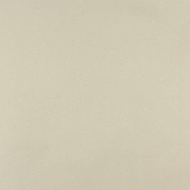 3108 Celery by Charlotte Designer Fabric Decorative Duck 100% Solution Dyed Acrylic Italy Exceeds 140,000 Wyzenbeek Rubs (Heavy Duty) No Repeat 54 Inches - Swanky Fabrics -