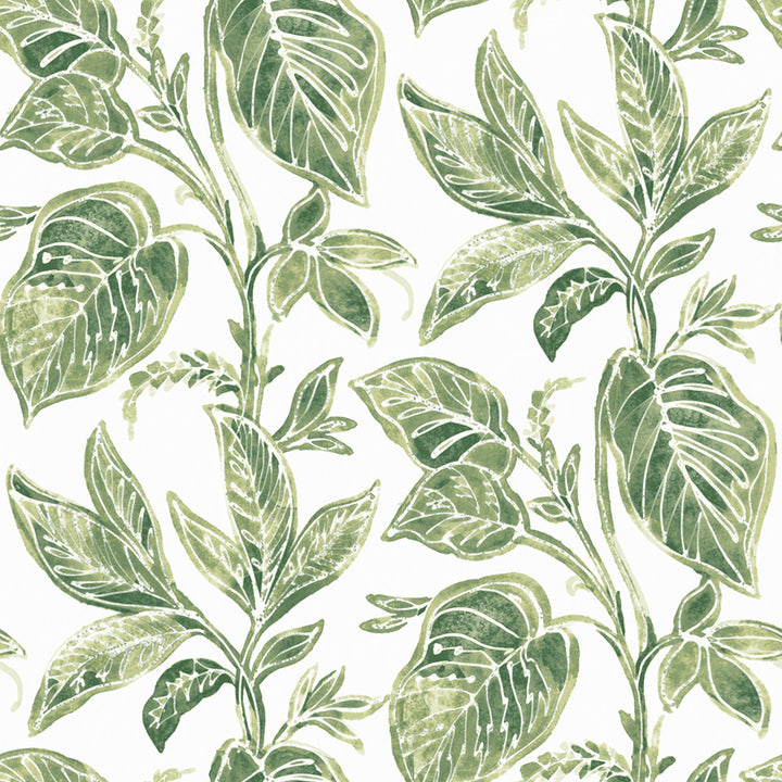 Mangrove Green Botanical Wallpaper by Chesapeake Designer Sanibel Covers about 56.4 square feet 20.5-in by 33-ft long roll Prepasted 20.5 - Swanky Fabrics -