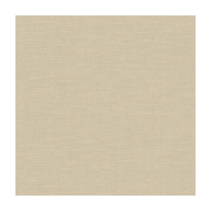 Venetian Sand by Kravet Design Designer Fabric RAYON - 49%;COTTON - 42%;POLYESTER - 9% United States HEAVY Horizontal: and Vertical: 54 - Swanky Fabrics -