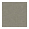 Venetian Steel by Kravet Design Designer Fabric