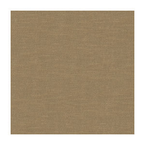Venetian Cloud by Kravet Design Designer Fabric