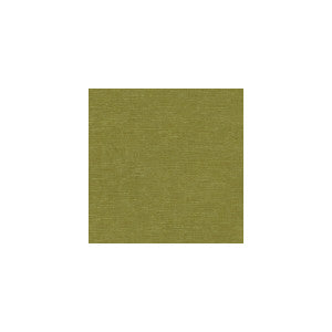 Venetian Moss by Kravet Design Designer Fabric