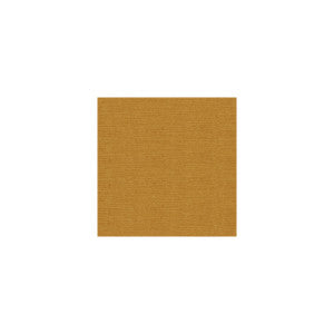 Venetian Amber by Kravet Design Designer Fabric