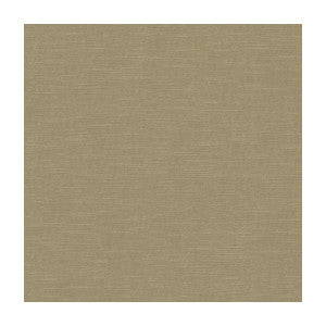 Venetian Birch by Kravet Design Designer Fabric