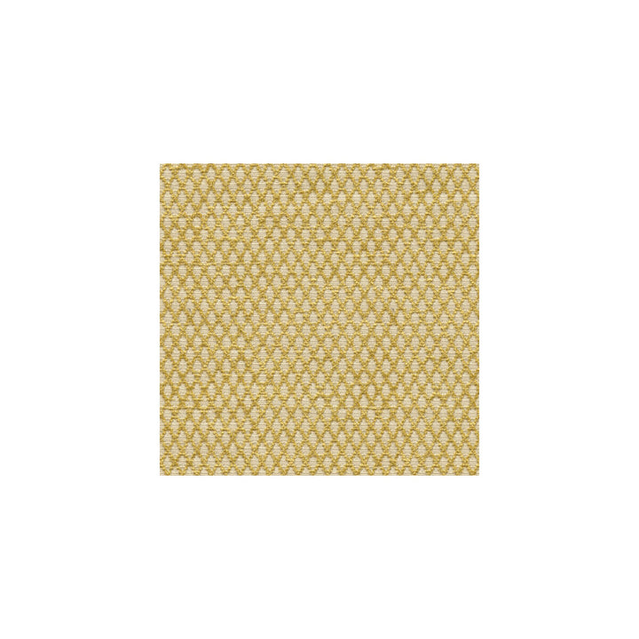 31373-14 by Kravet Design Designer Fabric GIS RAYON - 73%;POLYESTER - 27% United States HEAVY Horizontal: - and Vertical: - 58 - Swanky Fabrics -
