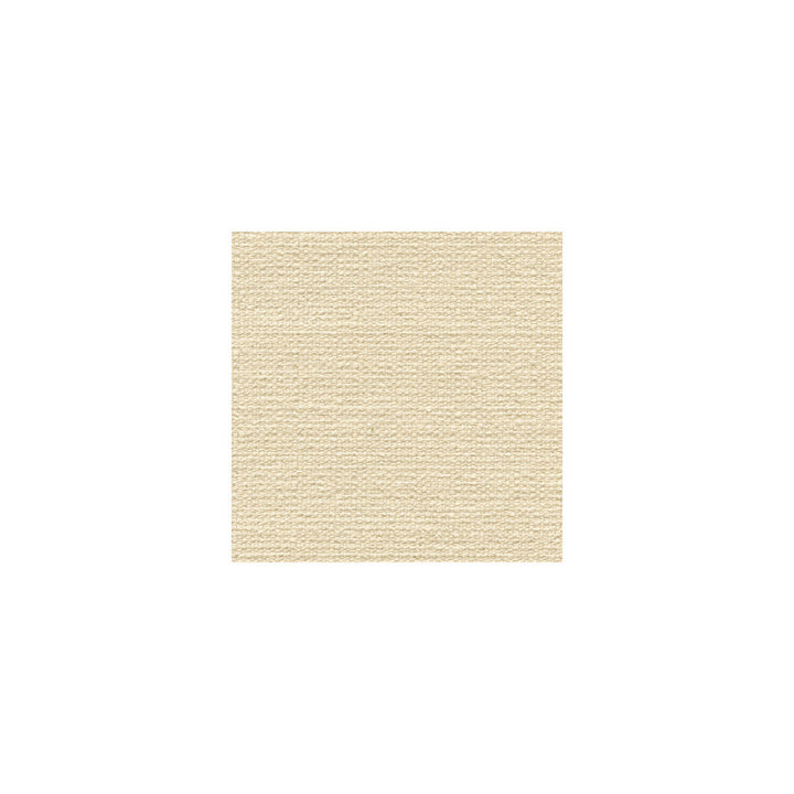31430-1 by Kravet Basics Designer Fabric GIS RAYON - 54%;POLYESTER - 24%;COTTON - 21%;NYLON - 1% United States HEAVY Horizontal: and Vertical: 54 - Swanky Fabrics -