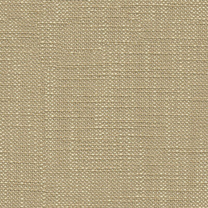 31498.16.0 by Kravet Designer Fabric