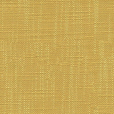 31498.4.0 by Kravet Fabric Kravet Fabric 31498.4.0Fabric PERFECT PLAINS POLYESTER - 100% China </p><p>Repeat: H: , V: 57 - Fabric Carolina -