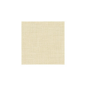 Magnifique Snow by Kravet Smart Designer Fabric