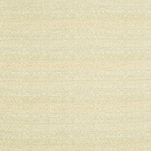 Melanger Vapor by Kravet Couture Designer Fabric