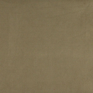 3180 Sage by Charlotte Designer Fabric