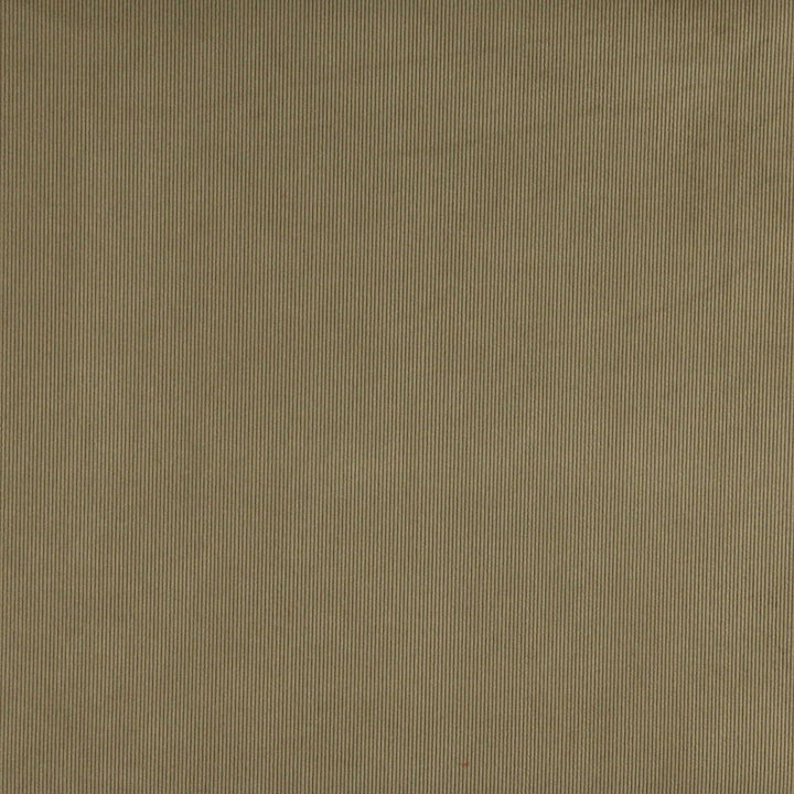 3180 Sage by Charlotte Designer Fabric Ring Book Page #7 90% Polyester, 10% Nylon Asia Exceeds 300,000 Wyzenbeek Rubs (Heavy Duty) </p><p>Repeat: 54 Inches - Swanky Fabrics -