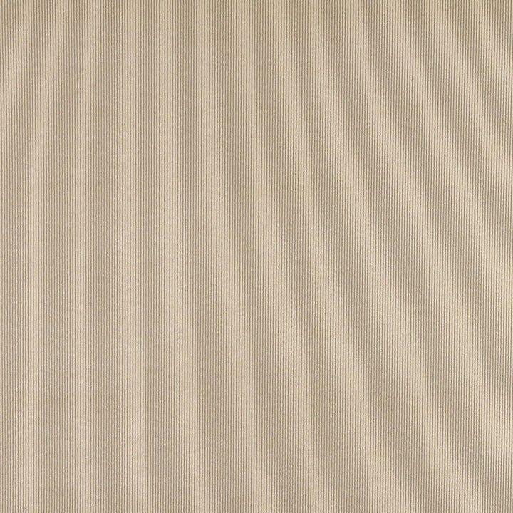 3183 Sand by Charlotte Designer Fabric Ring Book Page #7 90% Polyester, 10% Nylon Asia Exceeds 300,000 Wyzenbeek Rubs (Heavy Duty) </p><p>Repeat: 54 Inches - Swanky Fabrics -