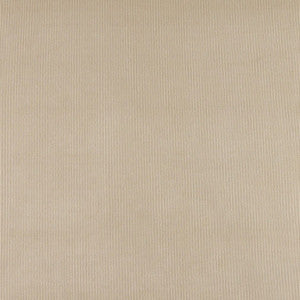 3183 Sand by Charlotte Designer Fabric
