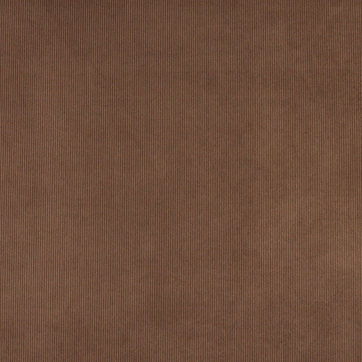 3186 Sable by Charlotte Designer Fabric Ring Book Page #7 90% Polyester, 10% Nylon Asia Exceeds 300,000 Wyzenbeek Rubs (Heavy Duty) </p><p>Repeat: 54 Inches - Swanky Fabrics -