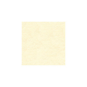 Baci Marshmallow by Kravet Basics Designer Fabric