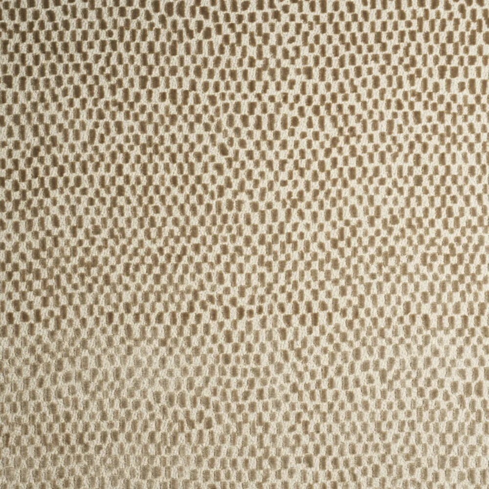 Tocci 3 Twig by Marcus William Designer Fabric Tocci 3 Twig by Marcus William Fabric KAI/MARCUS WILLIAM ASANTE 55%POL 45%SVI India MARTINDALE WEAR TEST (30 000 CIRCULAR RUBS) Horizontal: 14.125 and Vertical: 18.125 57 in - Fabric Carolina -