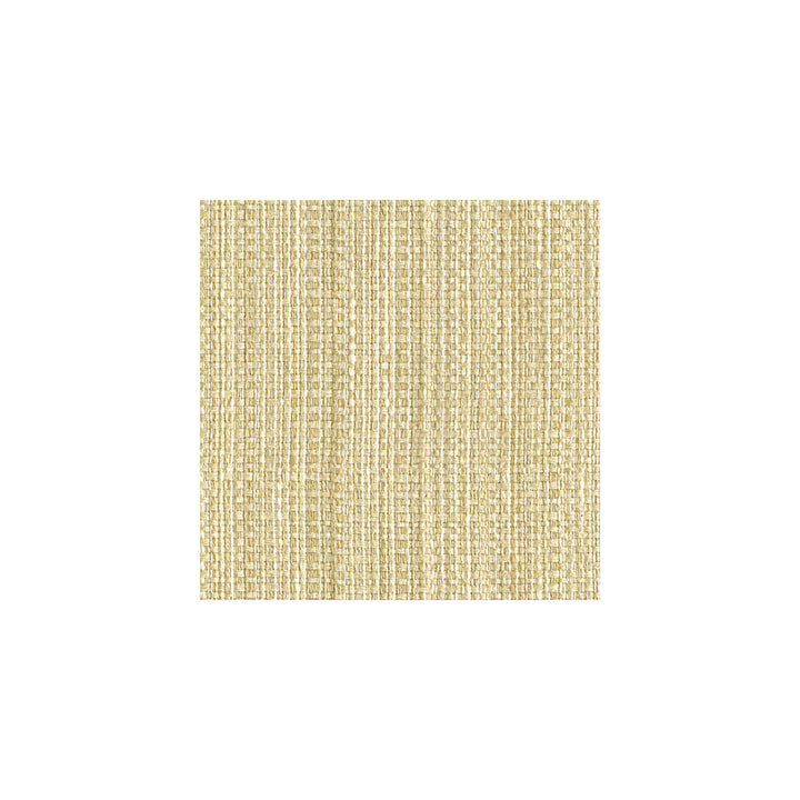 Impeccable Snow by Kravet Smart Designer Fabric GIS RAYON - 84%;COTTON - 16% United States HEAVY Horizontal: 9 and Vertical: - 58 - Swanky Fabrics -