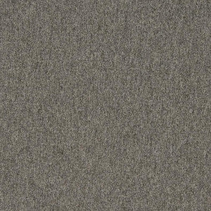 3200 Graphite by Charlotte Designer Fabric